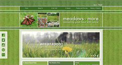 Desktop Screenshot of meadowsandmore.com